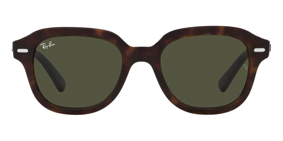 Ray-Ban Erik RB 4398 902/31