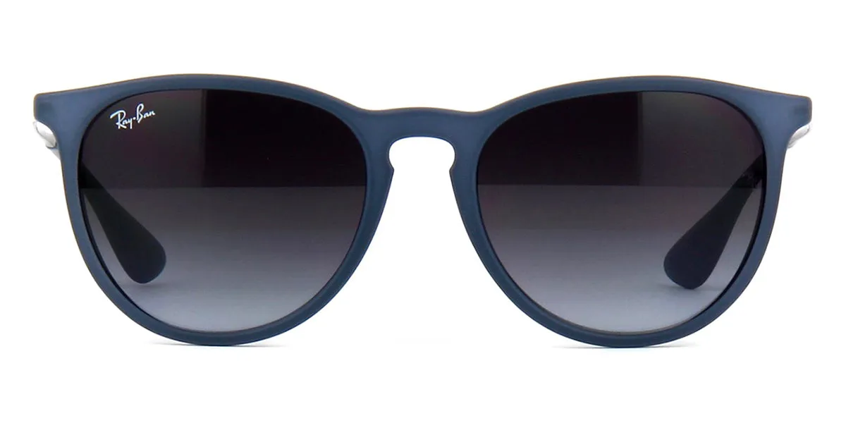 Ray-Ban Erika RB 4171 6002/8G - As Seen On Ashley Benson