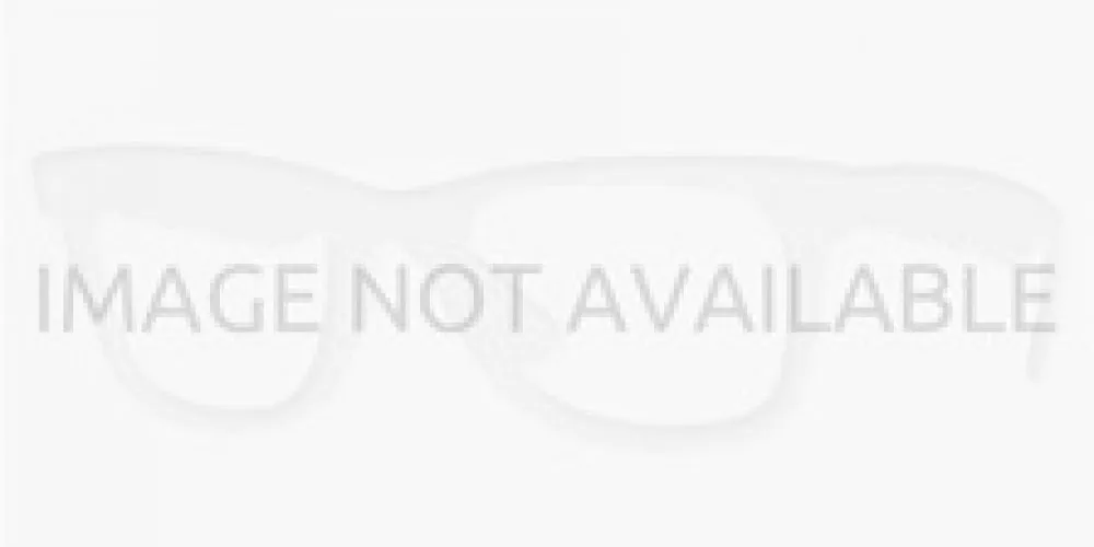 Ray Ban New Wayfarer 2132 Sunglasses - Small - 52mm
