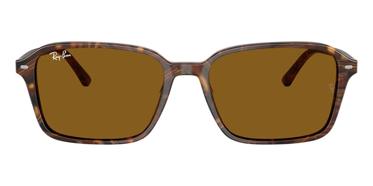 Ray-Ban Raimond RB 2231 1418/33 - As Seen On Alex Warren