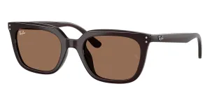 Ray-Ban RB 4439D 6231/73