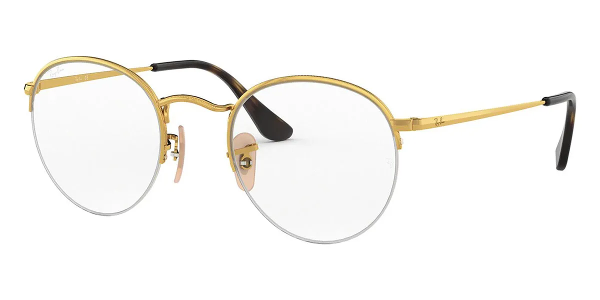 Ray-Ban Round Gaze RB 3947V 2500